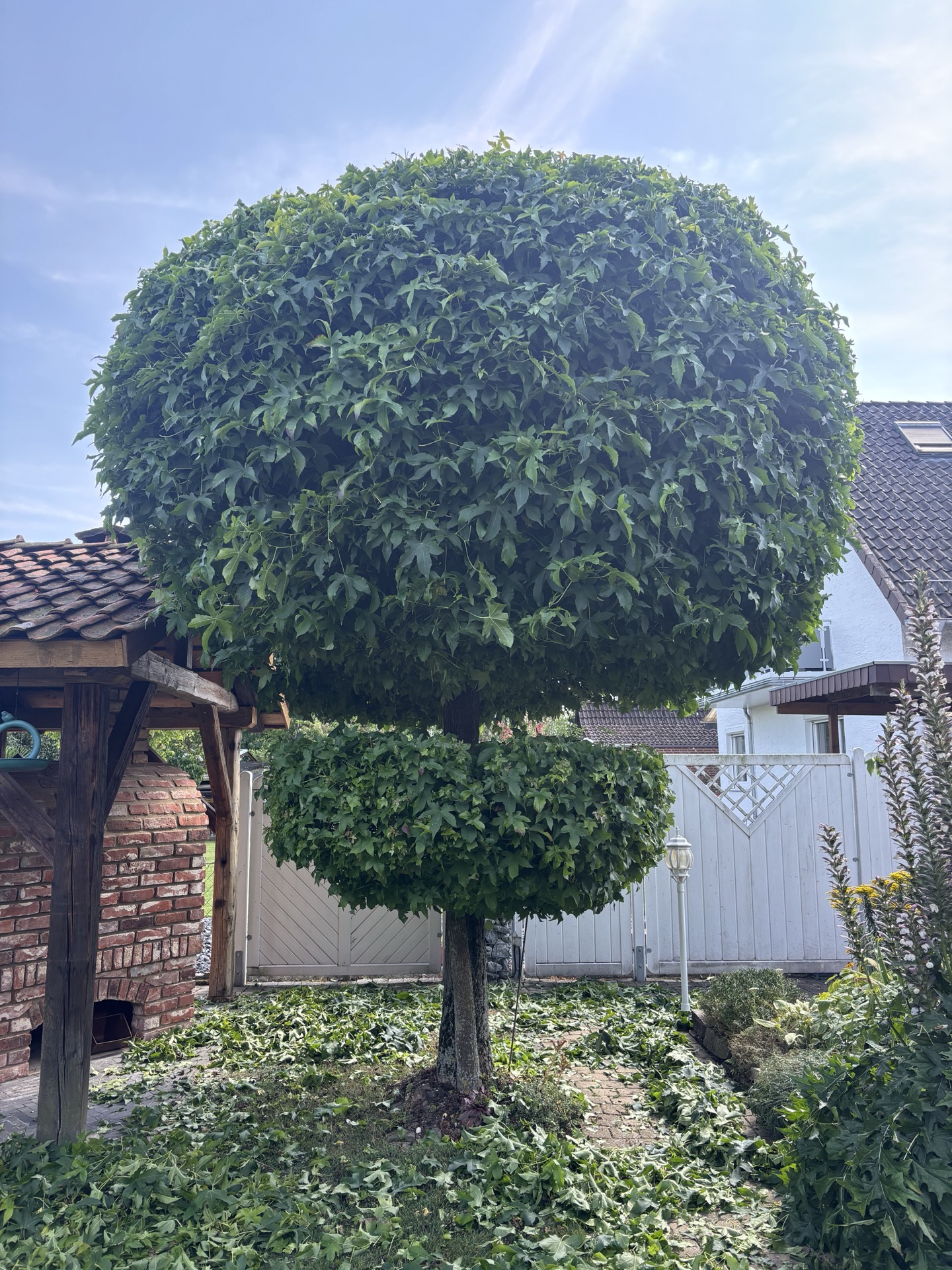 Baumschnitt und Grünpflege