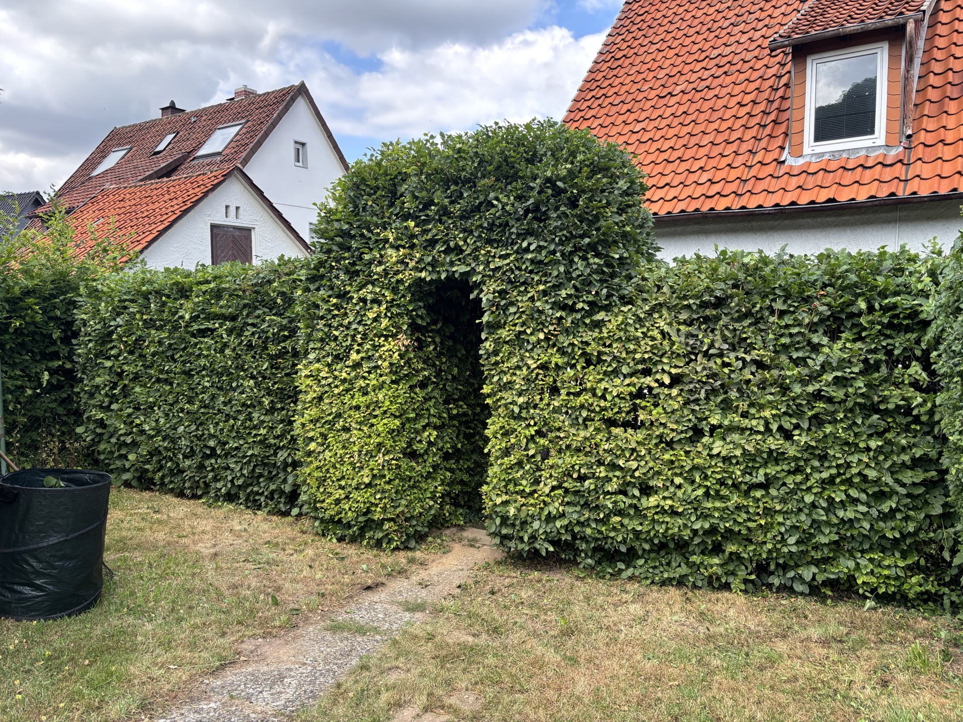 Reinigung Einblick 3