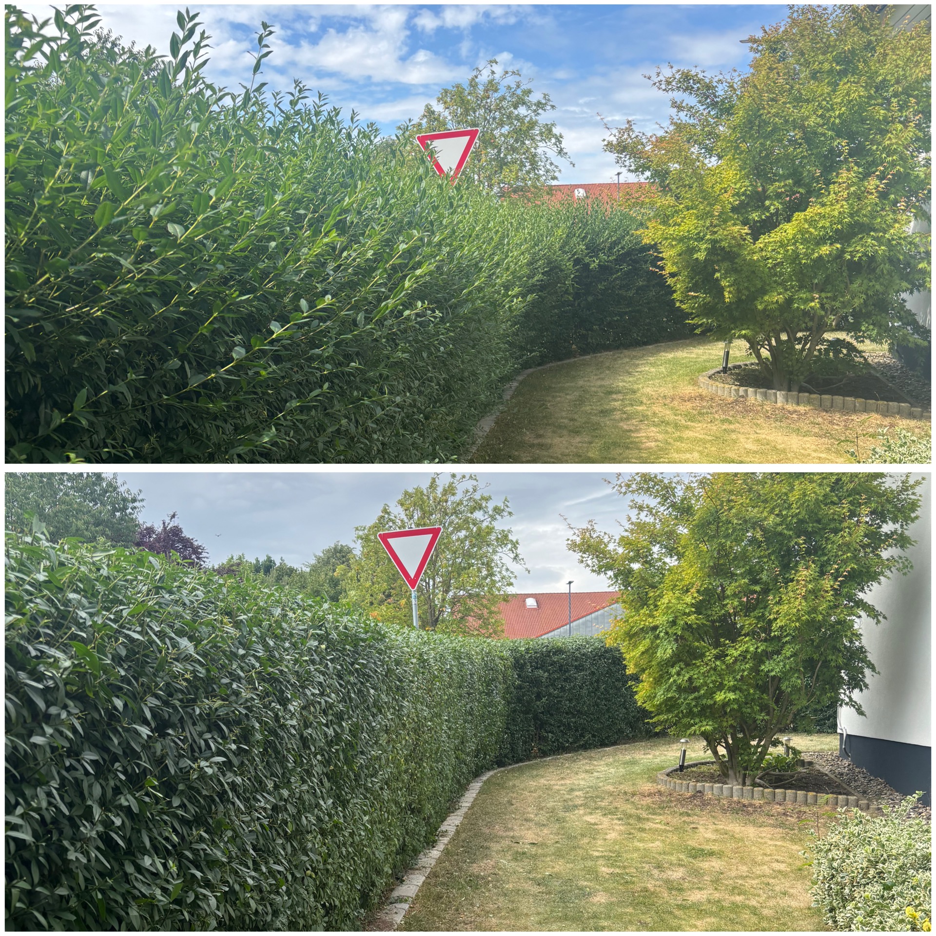 Professionelle Reinigung